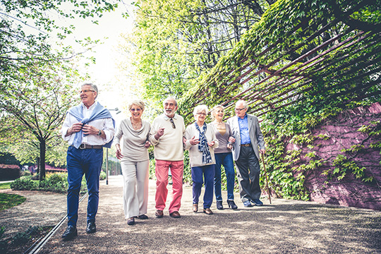 Group of seniors walking together. Group of seniors walking together.