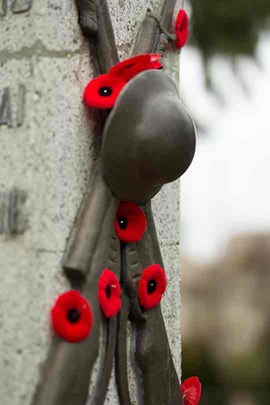 Red poppies on monument.