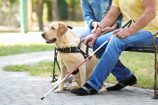 Une femme et un homme avec un chien-guide assis sur un banc dans un parc.