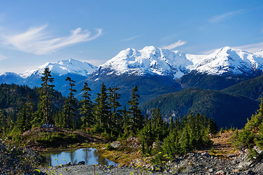 Speak up for a seniors strategy in BC!