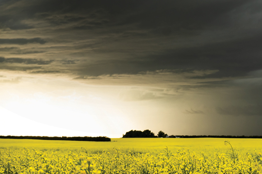 Storm on the horizon.