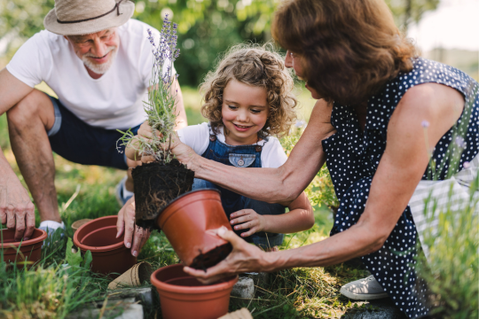 CPP Investments reports strong returns and long-term sustainability. Grandparents teaching their granddaughter about gardening.