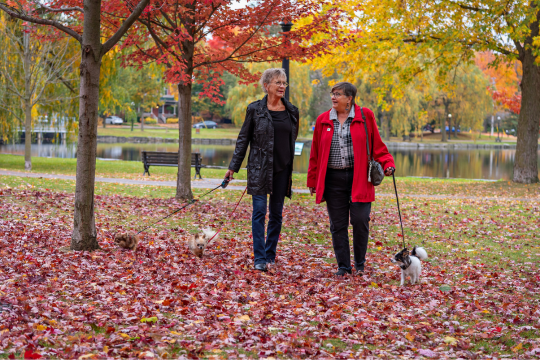 Lifelong friends Carol Grieco and Kathy Manzo walk their dogs outdoors.