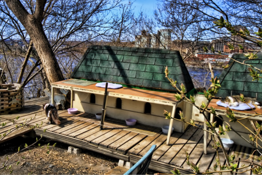 Cat shelter.