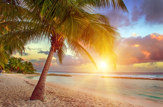 Beautiful sunset over the sea with a view at palms on the white beach on a Caribbean island of Barbados. Beautiful sunset over the sea with a view at palms on the white beach on a Caribbean island of Barbados.