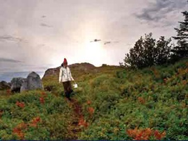 Fogo Island Fogo Island