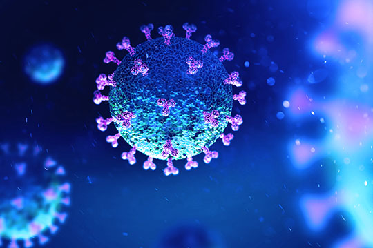 Le nouveau coronavirus scruté au microscope Le nouveau coronavirus scruté au microscope