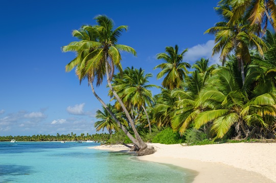Saint Lucia Saint Lucia