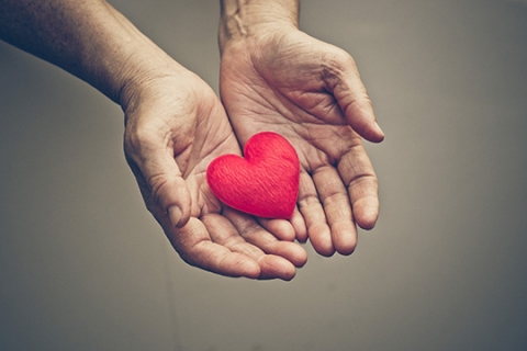 Old hands of the elderly giving a red heart. Old hands of the elderly giving a red heart.