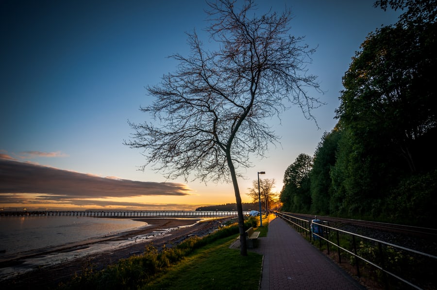 White Rock White Rock