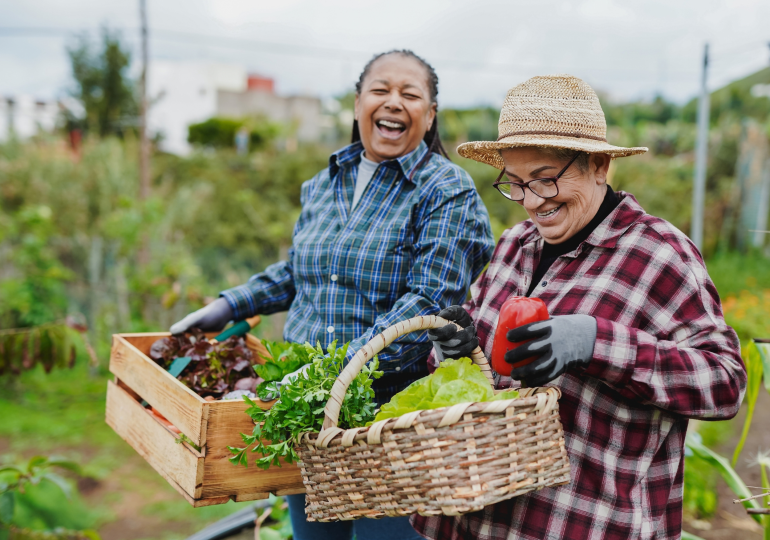 Two [AJ5.1]older adult women working together in a community garden.